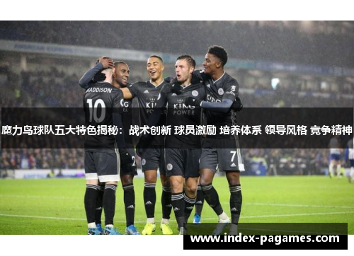 魔力鸟球队五大特色揭秘:战术创新 球员激励 培养体系 领导风格 竞争精神 魔力鸟球队五大特色揭秘:战术创新 球员激励 培养体系 领导风格 竞争精神
