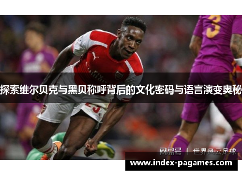 探索维尔贝克与黑贝称呼背后的文化密码与语言演变奥秘