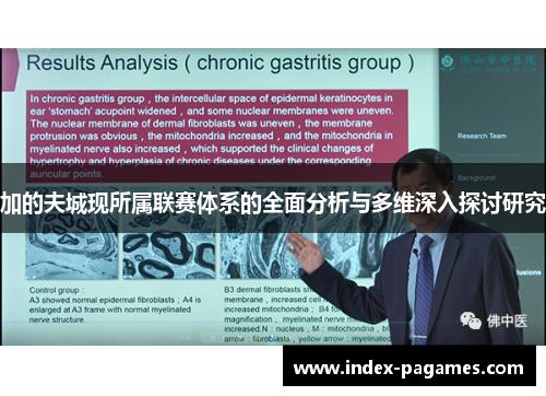 加的夫城现所属联赛体系的全面分析与多维深入探讨研究 加的夫城现所属联赛体系的全面分析与多维深入探讨研究