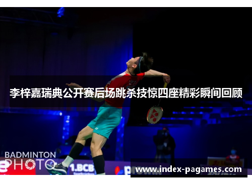 李梓嘉瑞典公开赛后场跳杀技惊四座精彩瞬间回顾 李梓嘉瑞典公开赛后场跳杀技惊四座精彩瞬间回顾