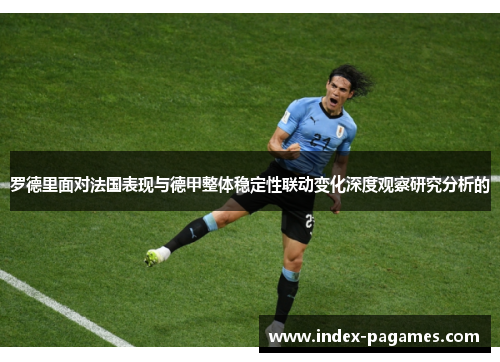 罗德里面对法国表现与德甲整体稳定性联动变化深度观察研究分析的