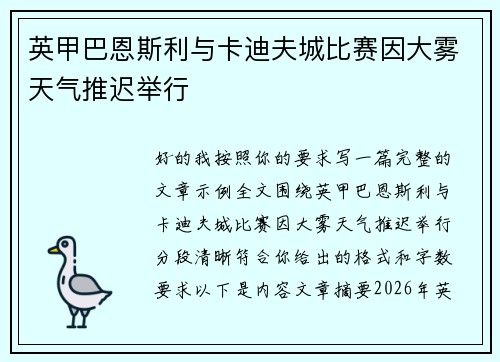 英甲巴恩斯利与卡迪夫城比赛因大雾天气推迟举行