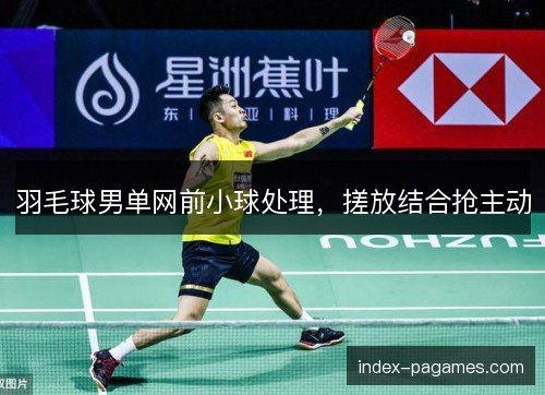 羽毛球男单网前小球处理，搓放结合抢主动